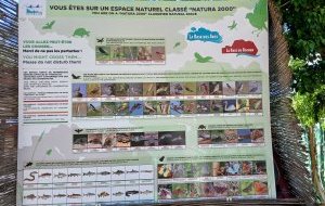 biodiversité Natura 2000 de l'Argens au départ de la Base du Rocher